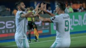 بطل إفريقيا يجلد ولا يُجامل