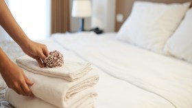 الستائر الثقيلة والسجاد تزيد من إنتشار حشرات الفراش