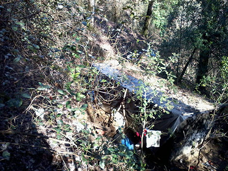 Algerian forces found a terrorist's family of Seven members in a mountainous hideout