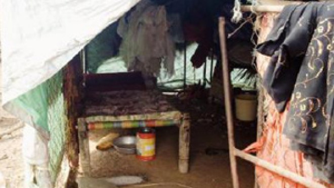 حملة وقائية لوقف زحف الأوبئة المتنقلة من الحيوان إلى الإنسان عبر 40 ولاية