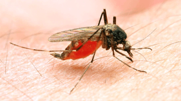 عيب وعار علينا!