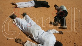 Armed Malians perpetrate war crimes in Diabaly