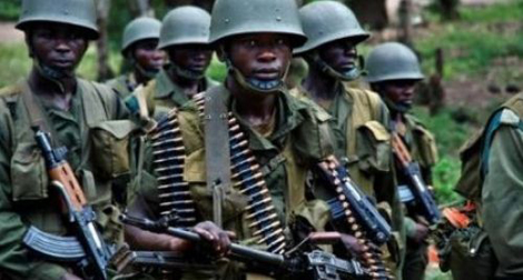 Les troupes gambiennes prêtes à une opération au Mali