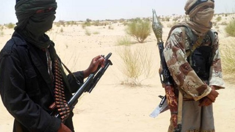 سفير فرنسا في باماكو: جيش مالي والمجتمع الدولي غير مستعدين لتدخل عسكري