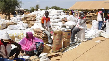 La Russie envoie 36 tonnes d’aide humanitaire au Mali