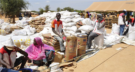 La Russie envoie 36 tonnes d’aide humanitaire au Mali
