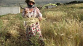 أوراسية أمّ لثمانية أبناء تبهر الصائمين في باتنة