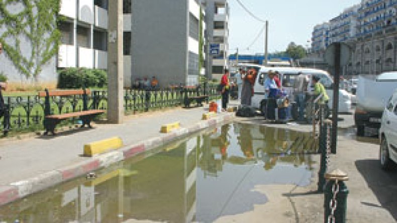 صورة وتعليق