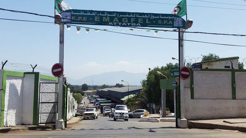 أسواق الجملة تقع في قبضة السماسرة والفوضويين..!