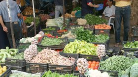 “الصمايم” تحرق المحاصيل الزراعية وترفع أسعار الخضر