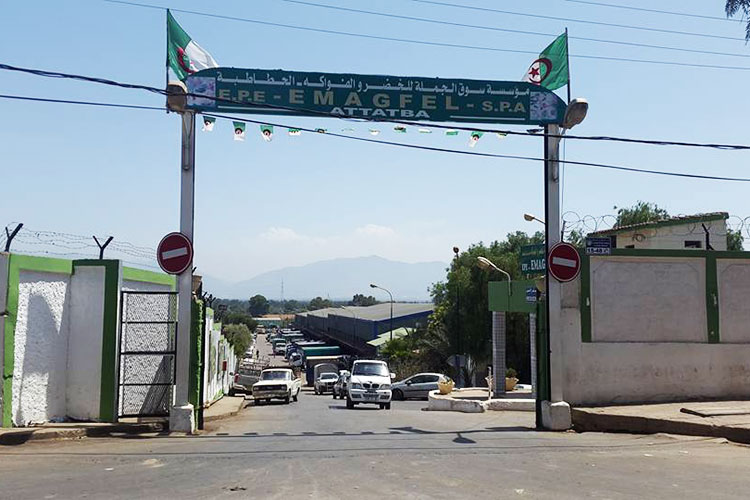 D’importantes quantités des fruits et légumes finissent à la poubelle !