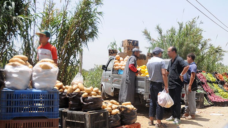 فلاحون يؤسّسون أسواق رحمة فوضوية