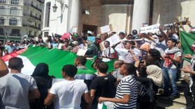سياسيون وناشطون يحتجون لدى سفارات الدول العظمى بالجزائر