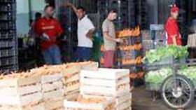 شركة  وطنية  لإنجاز  وتسيير  49  سوق  جملة  لتسقيف  الأسعار  ومحاصرة  المضاربين