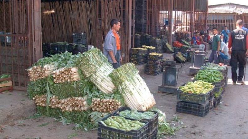 سوق للجملة وآخر جواري بكل دائرة وبلدية