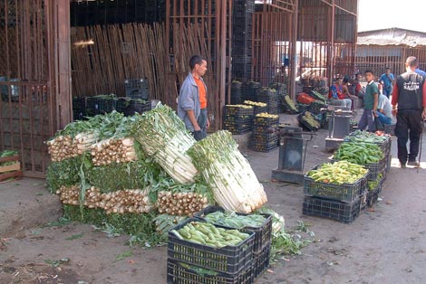 Algeria: Wholesale and neighbourhood markets in every district and municipality