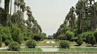Algérie: Jardin d'Essai, un muséum de la nature au coeur d'Alger