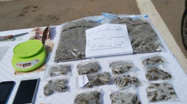 “Marijuana” Enters Algeria, A Quantity Is Seized In Oran