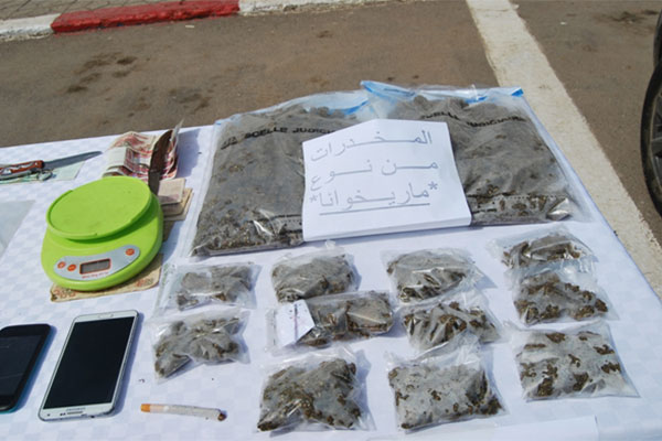 “Marijuana” Enters Algeria, A Quantity Is Seized In Oran
