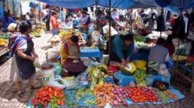 Markets around the world tumble