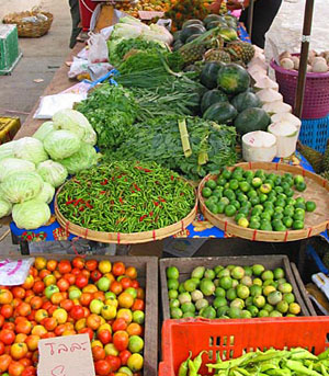 Algerian products to enter the European markets