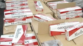 إنتاج مارلبورو وغولواز ووينسطن بالقليعة ابتداء من جانفي القادم