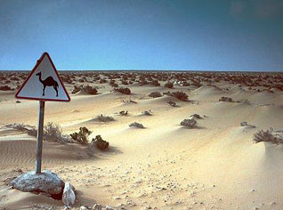 Sahara occidental: Rabat veut créer un climat propice pour les  négociations