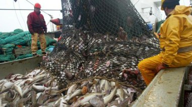 UE-Maroc: les étudiants sahraouis lancent une campagne contre le renouvellement de l’accord de pêche