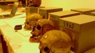 Algerians Ask France To Bring Back Martyrs' Skulls To Homeland