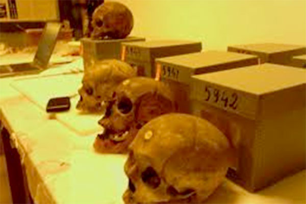 Algerians Ask France To Bring Back Martyrs' Skulls To Homeland