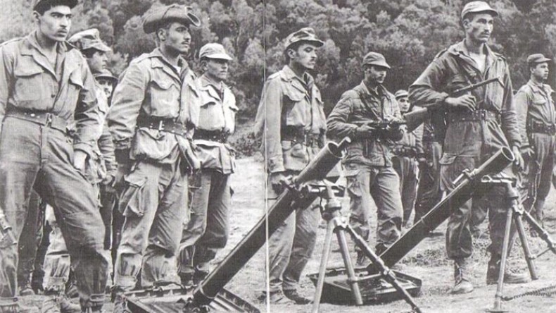 نساء ثورة لا تنسى