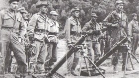 لو كانت القططُ تطير ما عاشت في السّماء العصافير