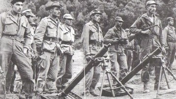 لو كانت القططُ تطير ما عاشت في السّماء العصافير