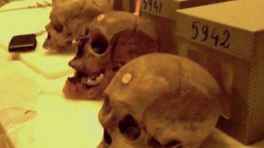 MPs Refuse To sign A Petition To Retrieve Martyrs' Skulls From France