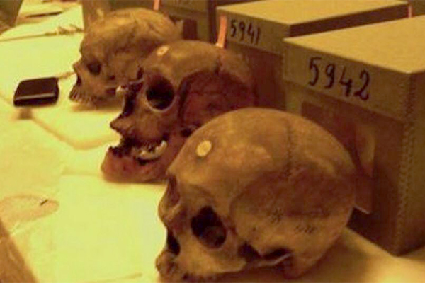 MPs Refuse To sign A Petition To Retrieve Martyrs' Skulls From France