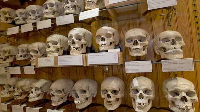 قضية استرجاع جماجم الشهداء تسير بوتيرة جيدة