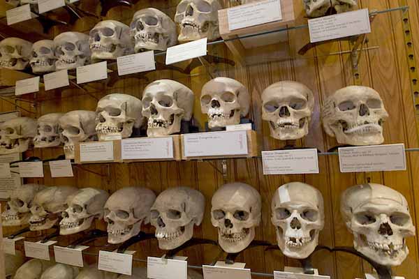 Tayeb Zitouni: “Case Of Retrieving Martyrs Skulls Is Proceeding At A Good Pace”