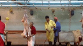 جزّارون يعتدون على أعوان الرقابة ويهددون بحرق شاحنتهم في البيض