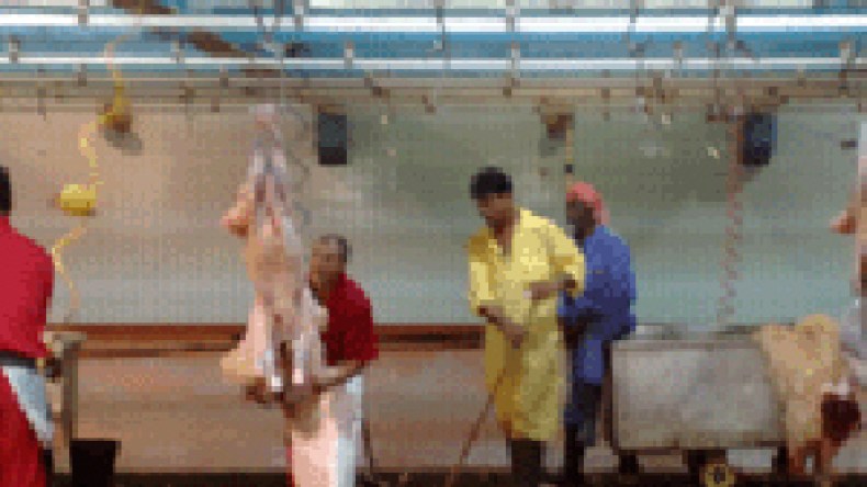 جزّارون يعتدون على أعوان الرقابة ويهددون بحرق شاحنتهم في البيض