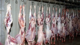 هياكل جهوية لضبط أسعار اللحوم الحمراء