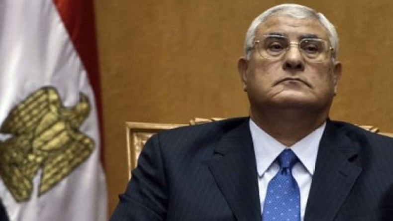 44 بالمائة من المصريين لا يعرفون إسم رئيسهم