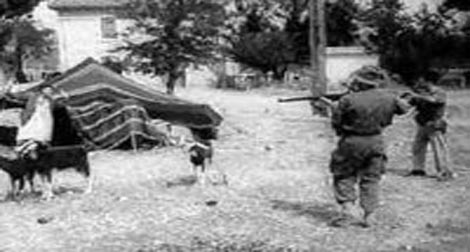 Massacres du 8-Mai 1945 : une réponse “claire” aux aspirations d’indépendance du peuple algérien