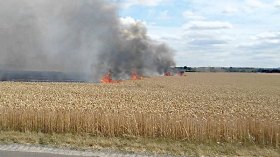 3 حرائق مهولة تلتهم 16 هكتارا من القمح والأغنام بسكيكدة