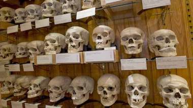 Les Algériens réclament à la France la restitution des crânes des martyrs