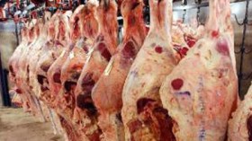 رجل أعمال إيراني يتعرض للنصب بعشرات الملايير بوهران