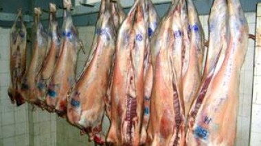 Mutton import not forbidden any more in Algeria