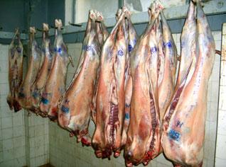 Mutton import not forbidden any more in Algeria