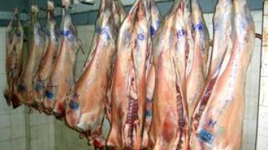 India meat import will cause $100 million loss to Algeria, says parliament members