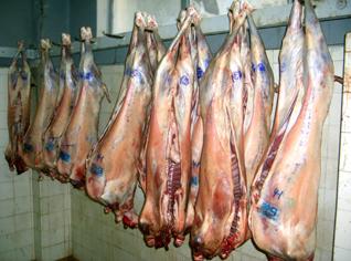 India meat import will cause $100 million loss to Algeria, says parliament members