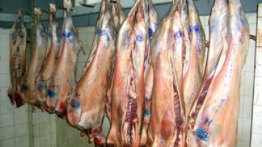 Algeria : Protracted veterinarians' strike trigger anarchical situation on meat and fish market